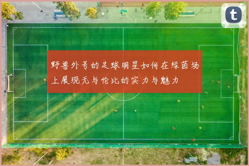 野兽外号的足球明星如何在绿茵场上展现无与伦比的实力与魅力