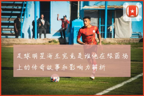 足球明星海王究竟是谁他在绿茵场上的传奇故事和影响力解析