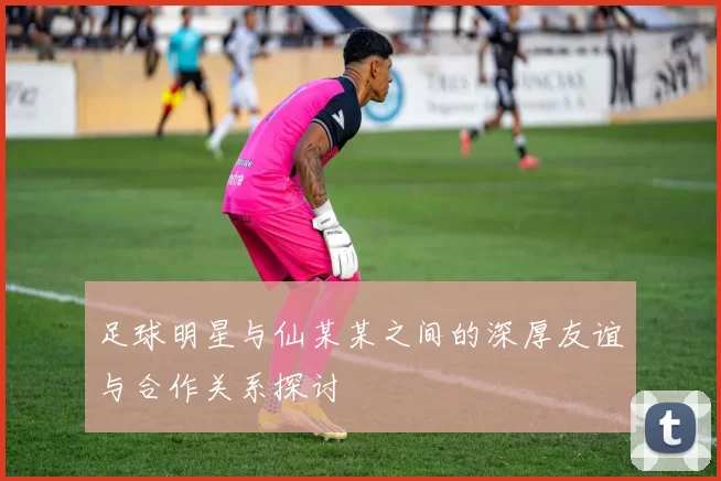 足球明星与仙某某之间的深厚友谊与合作关系探讨