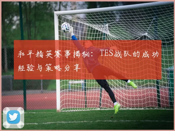 和平精英赛事揭秘：TES战队的成功经验与策略分享