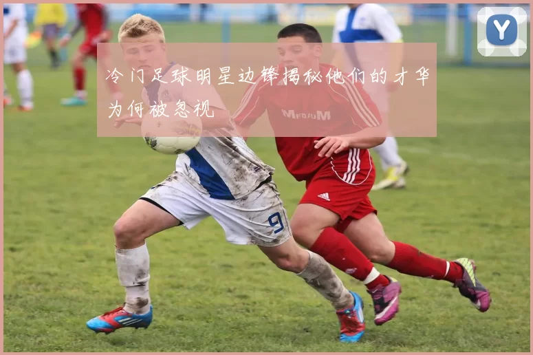 冷门足球明星边锋揭秘他们的才华为何被忽视