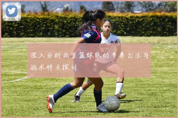 深入分析北京篮球队的节奏打法与战术特点探讨