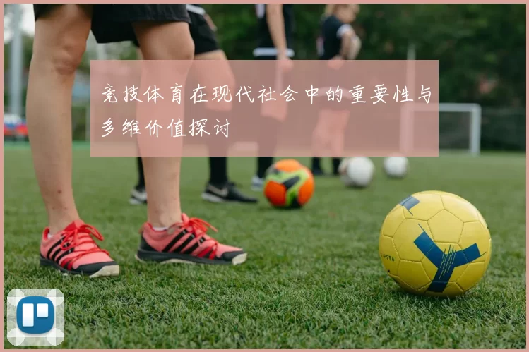 竞技体育在现代社会中的重要性与多维价值探讨