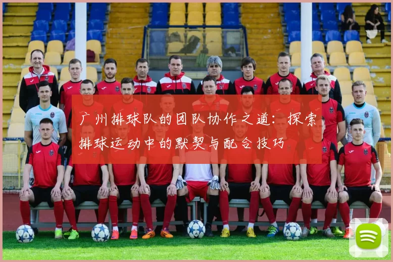 广州排球队的团队协作之道：探索排球运动中的默契与配合技巧