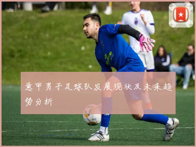 意甲男子足球队发展现状及未来趋势分析
