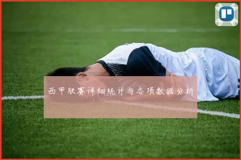 西甲联赛详细统计与各项数据分析