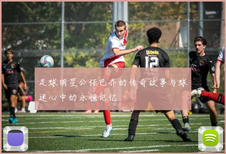 足球明星公仔巴乔的传奇故事与球迷心中的永恒记忆