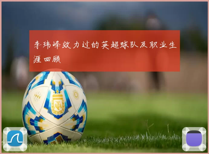 李玮峰效力过的英超球队及职业生涯回顾