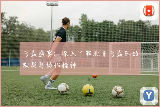 飞盘盛宴：深入了解北京飞盘队的默契与协作精神