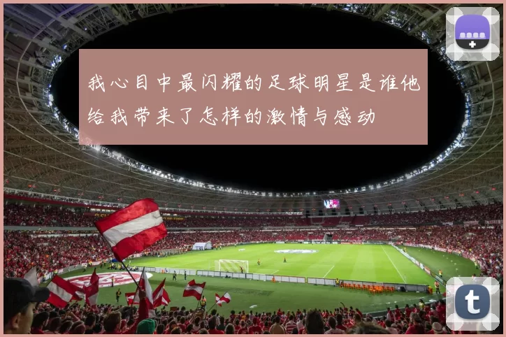 我心目中最闪耀的足球明星是谁他给我带来了怎样的激情与感动