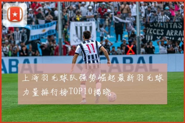 上海羽毛球队强势崛起最新羽毛球力量排行榜TOP10揭晓