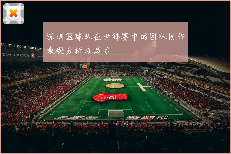 深圳篮球队在世锦赛中的团队协作表现分析与启示