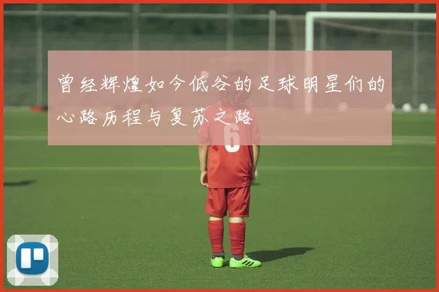 曾经辉煌如今低谷的足球明星们的心路历程与复苏之路