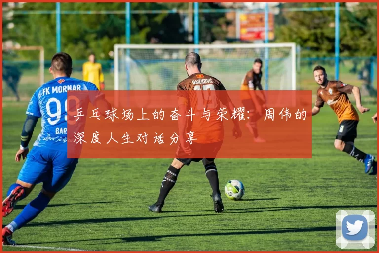 乒乓球场上的奋斗与荣耀：周伟的深度人生对话分享