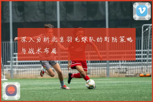 深入分析北京羽毛球队的盯防策略与战术布局