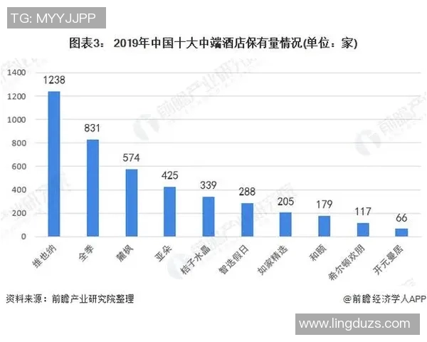 以酒店为核心打造的全方位服务体验提升方案及创新发展路径分析