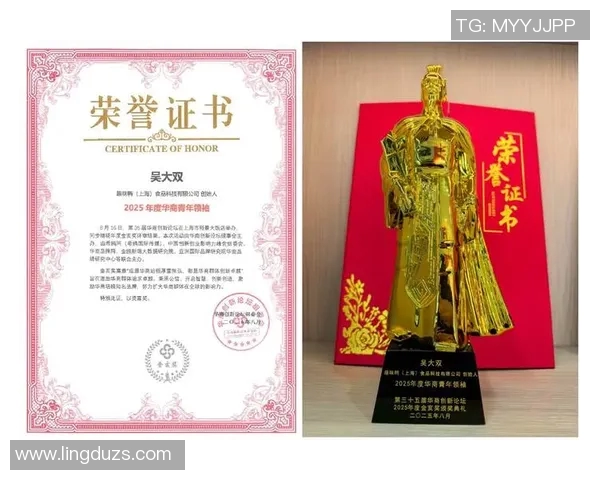 《聚焦行业荣誉与卓越成就探讨，深入解析各类奖项的重要性与影响力》